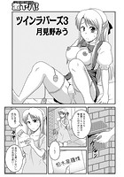 ツインラバーズ 3のイメージ画像