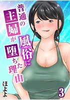 普通の主婦が風俗に堕ちた理由 3のイメージ画像