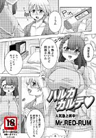 ハルカカルテのイメージ画像