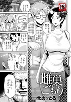 雌巣ごもりのイメージ画像