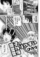 蘭子の変わりやすい愛情のイメージ画像