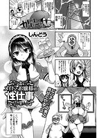 メイドとお嬢様の性仕事(サービス)のイメージ画像