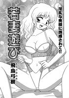 若妻遊びの表紙|成年コミックデータベース