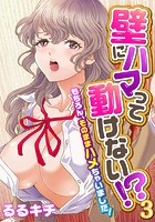壁にハマって動けない!?~もちろん、そのままハメちゃいました!~(フルカラー) 3のイメージ画像