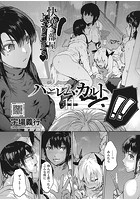 ハーレム・カルト 11:嘆きの門のイメージ画像
