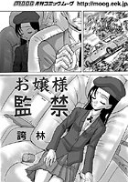 お嬢様監禁のイメージ画像