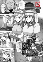 淫紋悪堕ち女騎士のイメージ画像