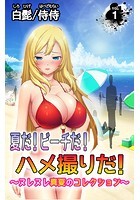 夏だ!ビーチだ!ハメ撮りだ!~ヌレヌレ真夏のコレクション~ 第1巻のイメージ画像
