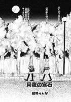月夜の宝石のイメージ画像