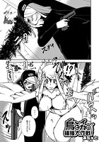 烏とイカの捕獲大作戦！のイメージ画像