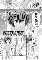 WILD LIFEのイメージ画像