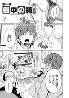 壺中の蠅 後編の表紙