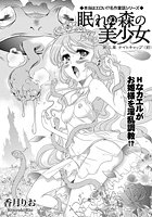 眠れぬ森の美少女(3)のイメージ画像
