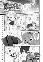 華麗なるミステイク・エレクチオンのイメージ画像