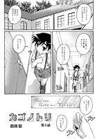 カゴノトリ（2）のイメージ画像
