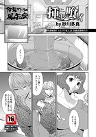 挿レ喰イのイメージ画像