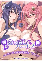 爆乳おっぱいハーレム 2 エロサキュバスの4つのおっぱいも独り占めっ！のイメージ画像