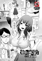 理想の婚淫 3の表紙