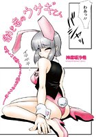 働き者のウサギさんのイメージ画像