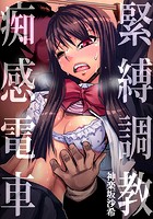 緊縛調教痴感電車(2)のイメージ画像