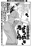 主婦早苗のよろめき渡し船のイメージ画像
