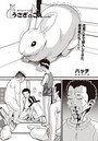 うさぎのこえ うさぎの場合のイメージ画像