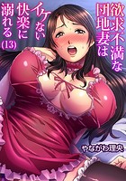 欲求不満な団地妻はイケない快楽に溺れる （13）の表紙|成年コミックデータベース