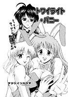 トワイライト・バニー（11）の表紙
