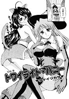 トワイライト・バニー（8）のイメージ画像