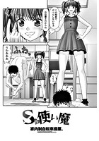 Sの使い魔のイメージ画像