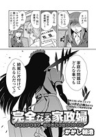 完全なる家政婦～PERFECT HOUSEKEEPER～のイメージ画像