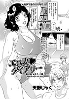 エロ妻ダイアリー(17)の表紙