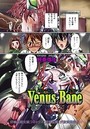 Venus Baneのイメージ画像