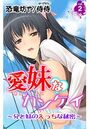 愛妹なカンケイ~兄と妹のえっちな秘密~ 第2巻のイメージ画像