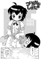 ついんかむ☆しすたぁのイメージ画像