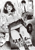 駄犬の正しい躾けかたのイメージ画像