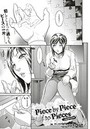Piece by Piece to Pieces _appendのイメージ画像