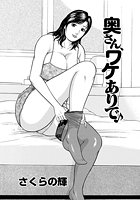 奥さん、ワケありで&sung;のイメージ画像