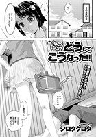 続・なに？なに！？どうしてこうなった！！の表紙