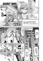 SECRET WIFEのイメージ画像