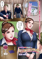 美麗CA絶頂フライトのイメージ画像