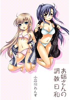 お姉さんの調教日和 (1)のイメージ画像