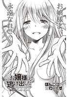 お嬢様は逃げ出した 最終話のイメージ画像