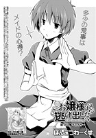 お嬢様は逃げ出した （11）のイメージ画像