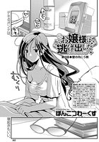 お嬢様は逃げ出した （8）のイメージ画像