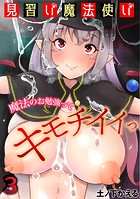 見習い魔法使い〜魔法のお勉強ってキモチイィっ〜（3）のイメージ画像