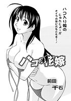 ハコの花嫁のイメージ画像