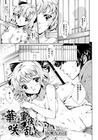 華は蜜夜に咲き乱れ 第七夜のイメージ画像