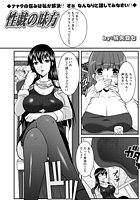 性戯の味方のイメージ画像