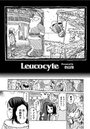 Leucocyteのイメージ画像
